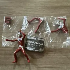 Item thumbnail for item 9f2d7618-491e-4f37-a23f-ebe4634d4018