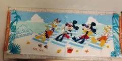 美品)東京ディズニーリゾートフェイスタオルロング