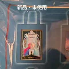 【ディズニーシー】ファンタジースプリングス　トートバッグ　アナ雪