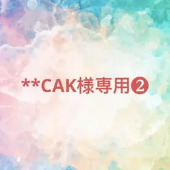 **CAK様確認専用ページ❷