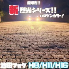 池田フォグ 裏裂光シリーズ ハロゲンカラーフォグランプ H8/H11/H16