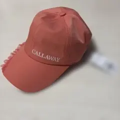 Item thumbnail for item 7fcaad3c-4c45-484d-a577-4ac6022cb087