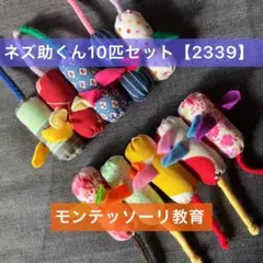 【希少品！】ふしぎ犬トントン★エアデールテリアぬいぐるみ エアデール・テリア！ | わんトピア