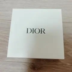 DIOR ディオール ポーチ 刺繍ポーチ ノベルティ マザーズデイ 母の日 蝶