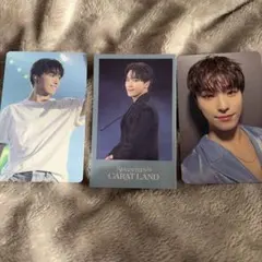 SEVENTEEN ディノ トレカ カード