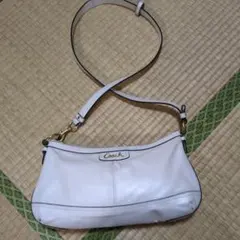 Item thumbnail for item e09bec1f-5ea5-4950-a575-04062ef80005