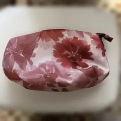 シビラポーチ大のサムネイル