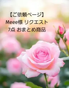 【ご依頼ページ】Meee様 リクエスト 7点 おまとめ商品
