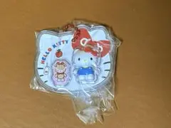 サンリオキャラクターズ 　パッケージチャーム　ハローキティ