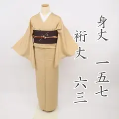 単衣 小紋＊長尺 塩沢お召し 子持ち縞模様 ベージュ 正絹 カジュアル 