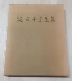 期間限定値下げ！桂離宮 写真及び資料集　全340ページ　大型本定価55,000円 桂離宮 写真及び資料集大型本 全340ページ - メルカリ