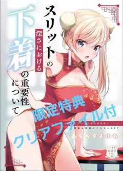 スリットの深さにおける下着の重要性について【限定特典クリアファイル付】C106