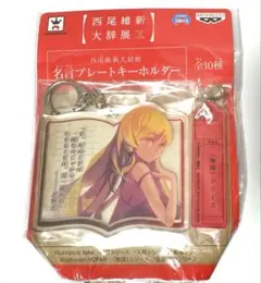 2025年最新】西尾維新大辞展の人気アイテム - メルカリ