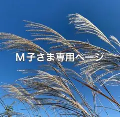 【M子さま専用ページ】山梨県産ススキ 5〜7本（指定サイズ対応）
