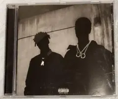 BIG SEAN / double or nothing CDアルバム