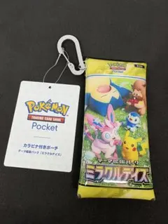 ポケモンセンター　ミラクルデイズ　カラビナ付きポーチ　クリアポーチ