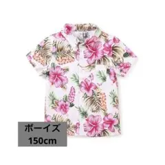 Item thumbnail for item 4f913e1e-9425-473d-96eb-5148df10dee9