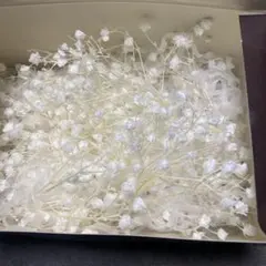 Item thumbnail for item 6b7606c0-9b59-43b7-bd20-0ef5e6fcd267