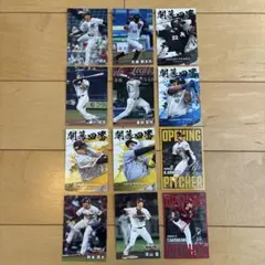 プロ野球 カルビー　スポーツカード　2025 12枚セット