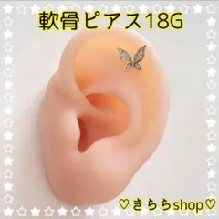 Item thumbnail for item c87685ef-4565-4686-af07-d8b2445eef15