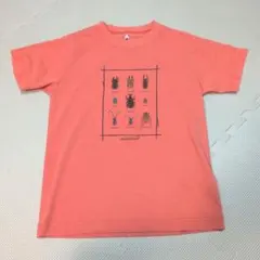 mont-bell 昆虫デザイン Tシャツ 140