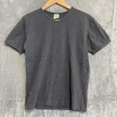 ジャパンブルージーンズ 半袖ラグランスウェット サイズM 日本製 美品 