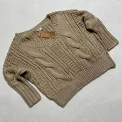 ⭐️グレイル⭐️新品ニット セーター タグ付き 編地 ベージュ フリーサイズ