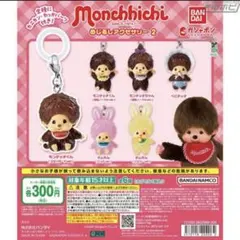モンチッチ めじるしアクセサリー コンプリート　コンプ