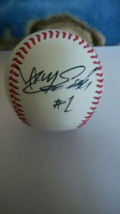 2025年最新】内川聖一 バットの人気アイテム - メルカリ