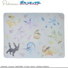 ポケット モンスター イーブイ プレミアム巾着付きブランケット