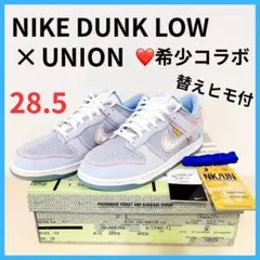 芸能人着用❤️ NIKE DUNK LOW × UNION ARGON 希少