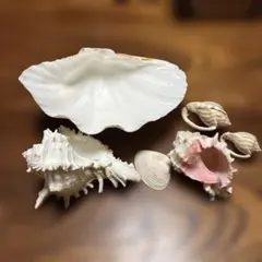 Item thumbnail for item cad35a95-4ee4-4505-9fe2-ff8f4bb51e88