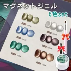 6色セット マグネットジェル マグネットネイル 【KJS06】