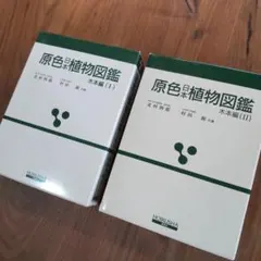 Item thumbnail for item 98e22802-8d40-41f1-ace2-ada368f174f4