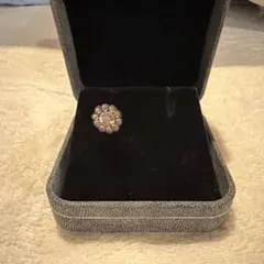 ミハエルネグリン　ピアス　片耳