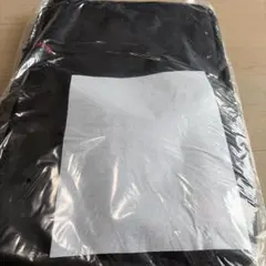 大阪エヴェッサEGOZARU製 黒バックパック