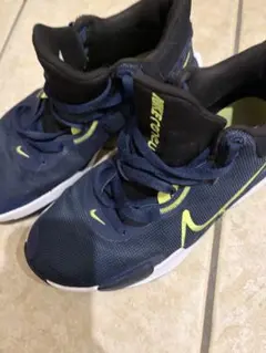 NIKE RENEW エベレート3 バッシュ