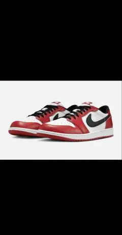 はやけんさん専用Nike Air Jordan 1 Retro Low OG