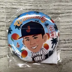 侍ジャパン　ガチャ　缶バッジ　若月健矢