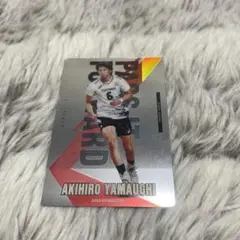 バレーボール日本代表 山内晶大 트레이딩 카드