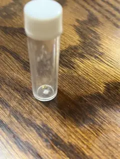 Item thumbnail for item e398e6ef-7d4e-4137-83df-8a2725f3e241