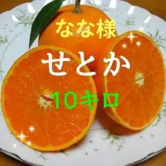 なな様専用　　　せとか