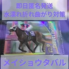 サラブレッドホースコレクション第4R メイショウタバル　第66回宝塚記念