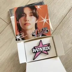 新品★RIIZE ペンライトアクセサリー&ポストカード　ウォンビン