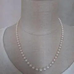 Item thumbnail for item 16593eae-6a23-4a04-a35d-f10e12eb58aa