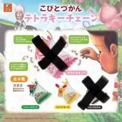 ☆こびとづかん テトラキーチェーン2種セット☆のサムネイル