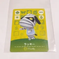 あつ森 amiibo ラッキー カード
