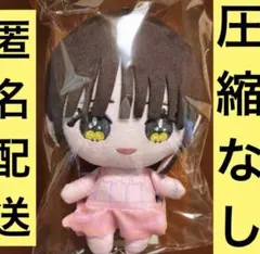 2026年最新】瀧脇笙古 ぬいぐるみの人気アイテム - メルカリ