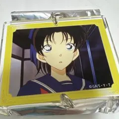 名探偵コナン コナンランド TD連結 アクリルキーホルダー 遠山和葉