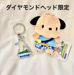 ポチャッコ　⭐︎ハワイ・ダイヤモンドヘッド限定⭐︎